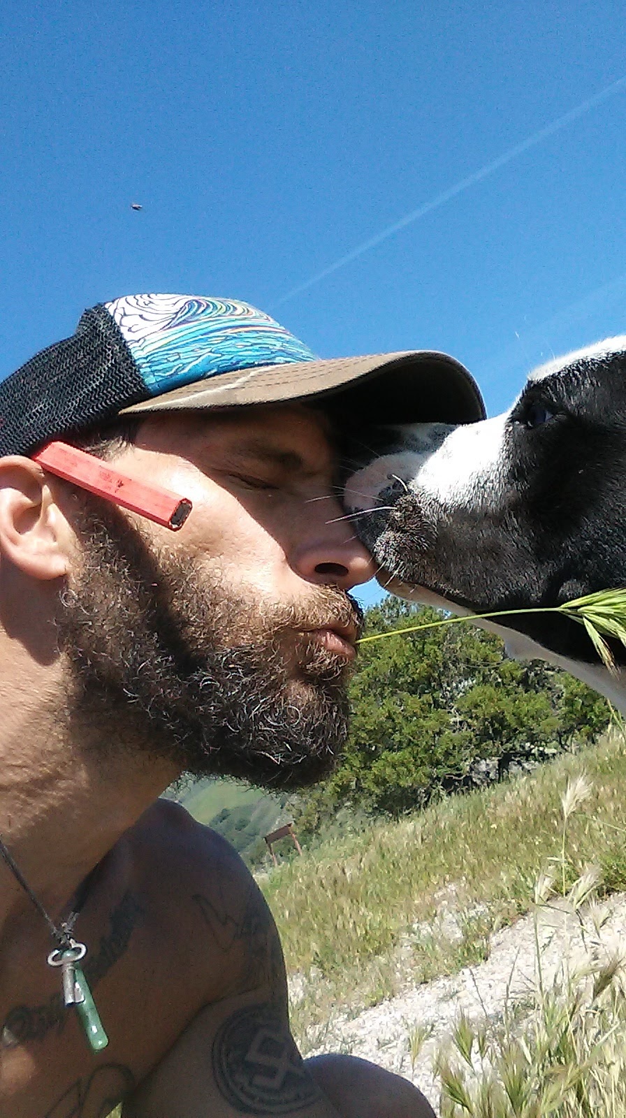 David at the coast, photo 1